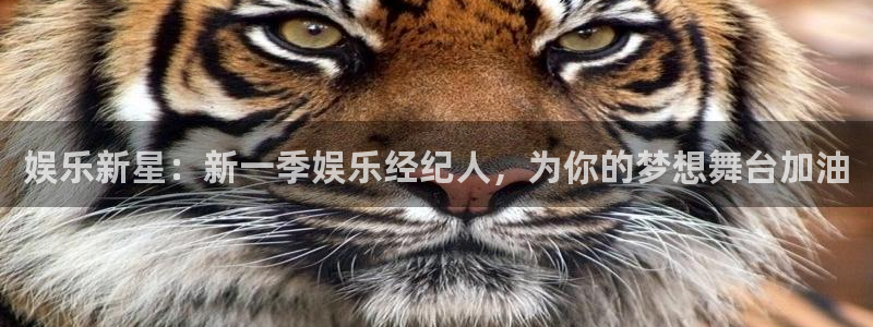 jdb电子哪个好赢钱：娱乐新星：新一季娱乐经纪人，为你的梦想舞台加油