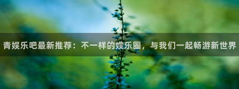 jdb电子游戏辅助器