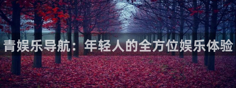 jdb电子游戏有人赢吗：青娱乐导航：年轻人的全方位娱乐体验