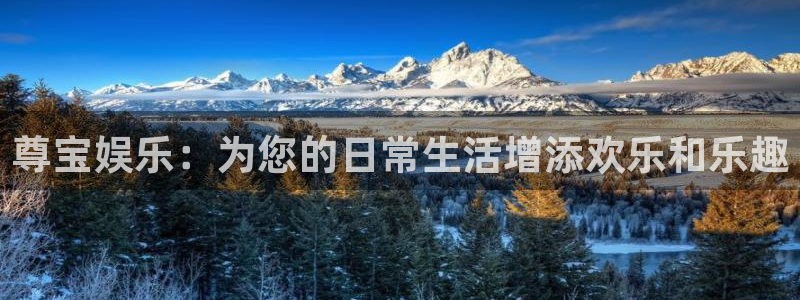 jdb电子魔术秀：尊宝娱乐：为您的日常生活增添欢乐和乐趣