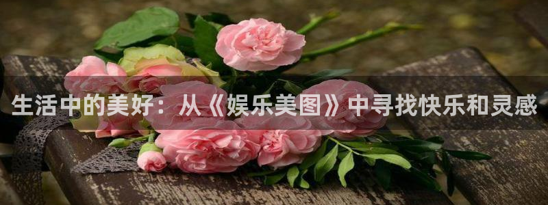 jdb电子游戏：生活中的美好：从《娱乐美图》中寻找快乐和灵感