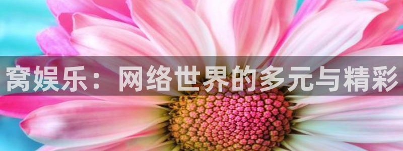 jdb电子台湾黑熊：窝娱乐：网络世界的多元与精彩