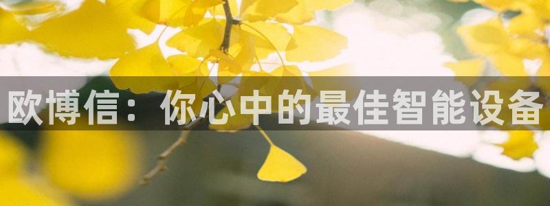 jdb电子台湾黑熊：欧博信：你心中的最佳智能设备
