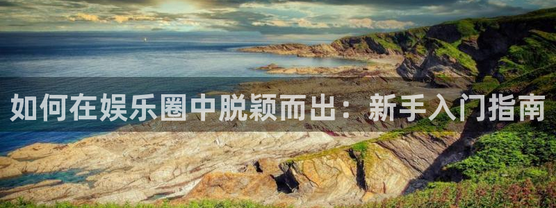 jdb电子游戏哪个容易赢：如何在娱乐圈中脱颖而出：新手入门指南