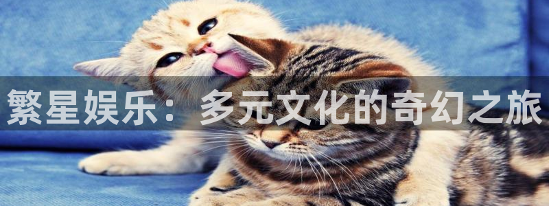 jdb夺宝电子gaming：繁星娱乐：多元文化的奇幻之旅