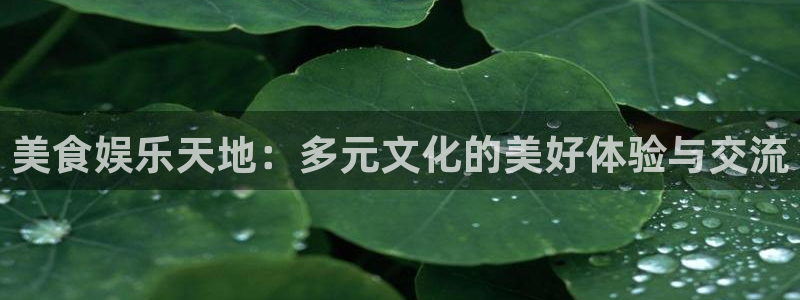 jdb电子游戏平台：美食娱乐天地：多元文化的美好体验与交流
