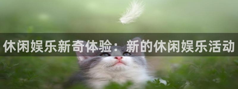 jdb电子攻略：休闲娱乐新奇体验：新的休闲娱乐活动