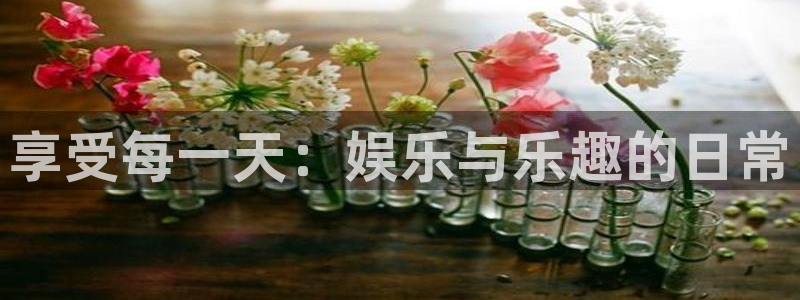 jdb电子网址大全：享受每一天：娱乐与乐趣的日常