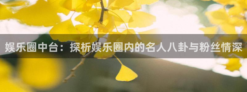jdb电子平台官网：娱乐圈中台：探析娱乐圈内的名人八卦与粉丝情深