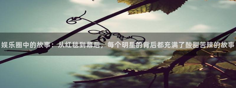 jdb电子夺宝官网：娱乐圈中的故事：从红毯到幕后，每个明星的背后都充满了酸甜苦辣的故事