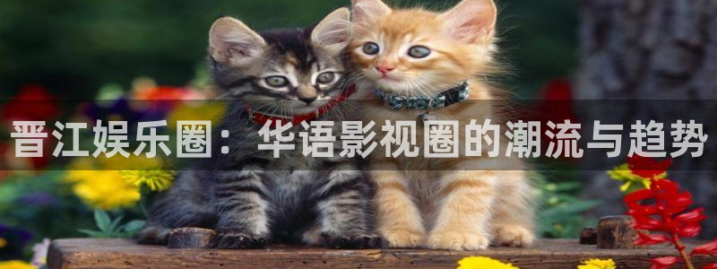 jdb电子暴龙兄弟：晋江娱乐圈：华语影视圈的潮流与趋势