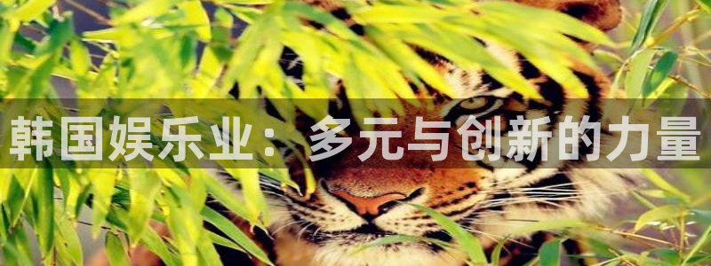jdb电子魔术秀：韩国娱乐业：多元与创新的力量